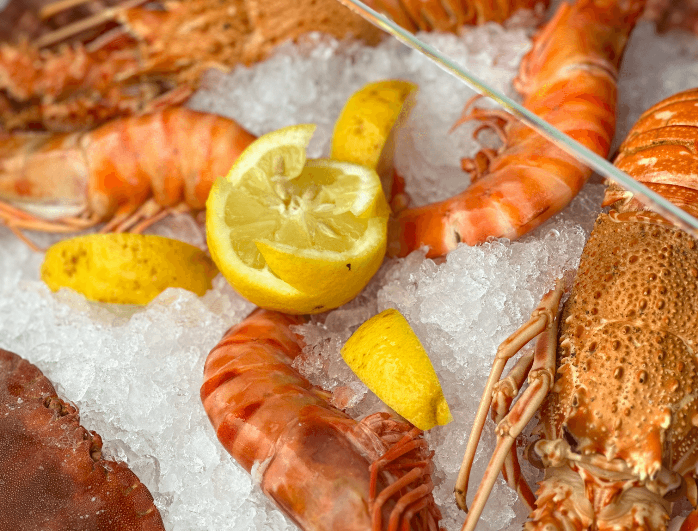 fruits de mer du jour au restaurant le voilier à Bonifacio