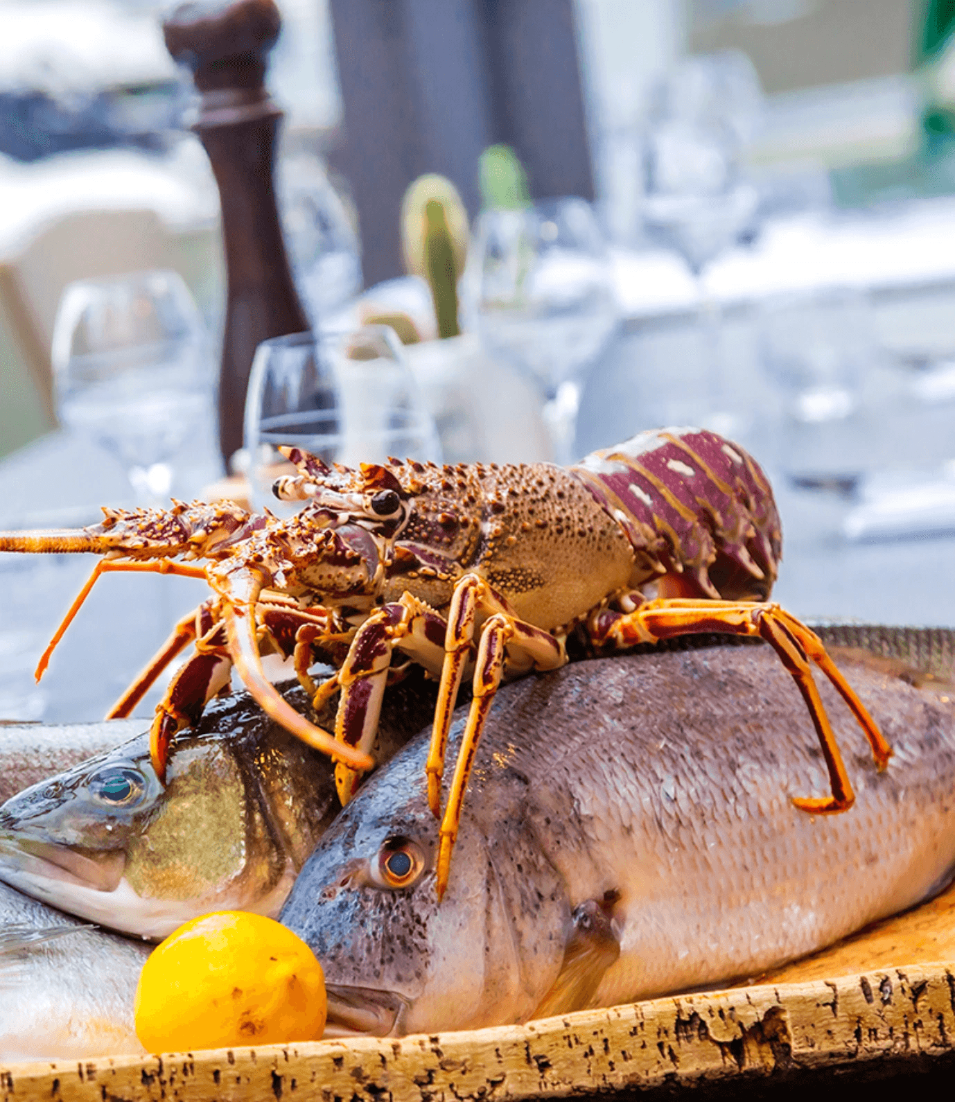 Fruits de mer frais au restaurant gastronomique Le Voilier à Bonifacio